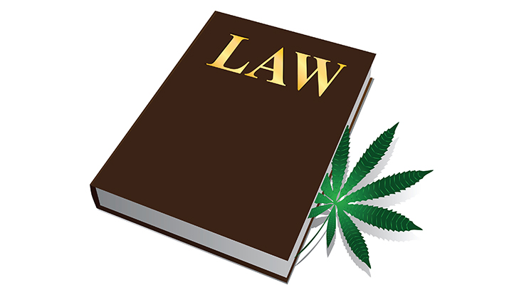 Ontario Tackles Illicit Market with New Cannabis Legislation